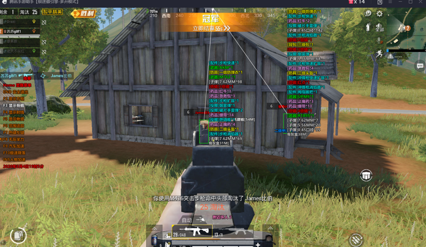 和平精英辅助【AI内核】方框透视 骨骼显示 人物射线 手持武器 触摸自瞄